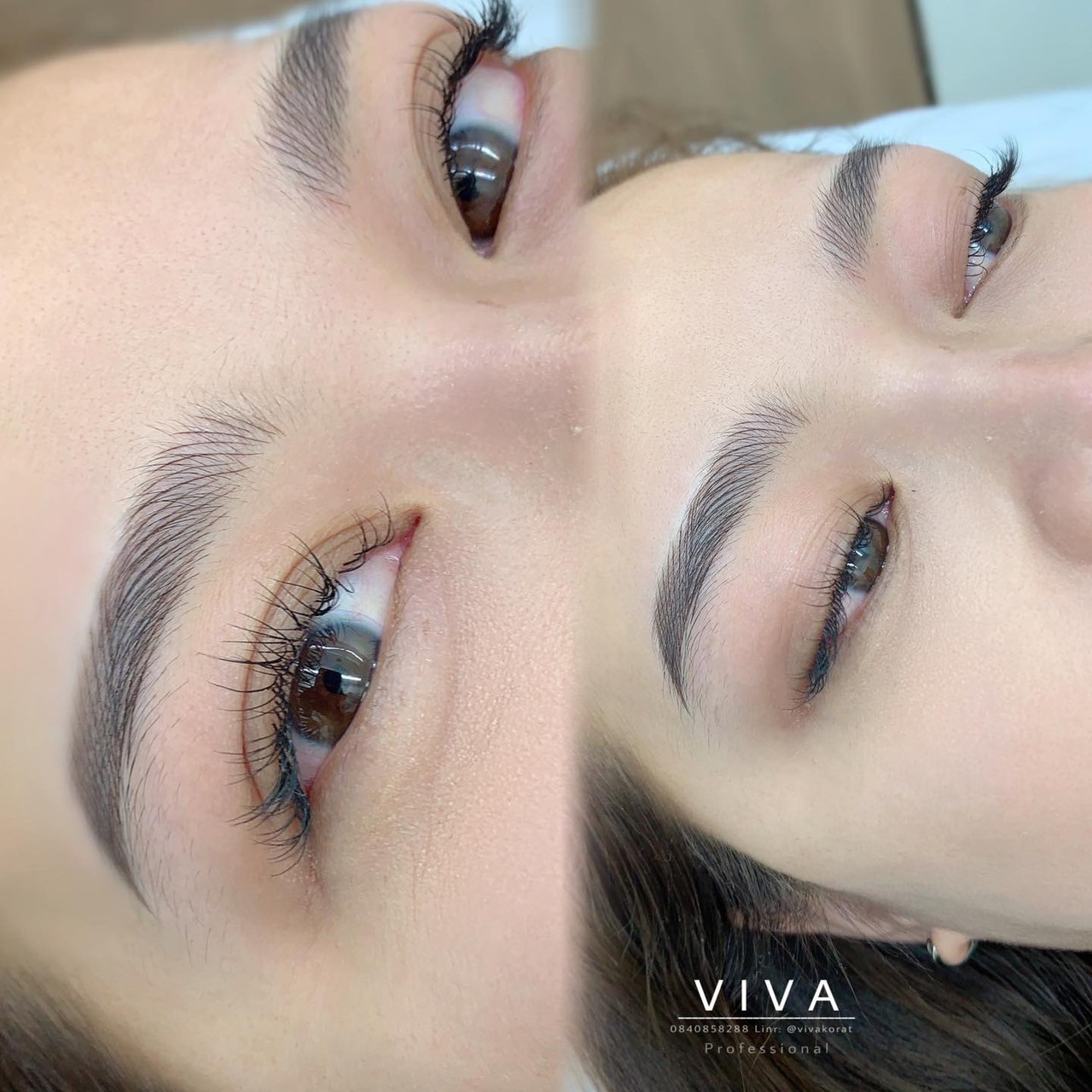 Viva Eyebrow