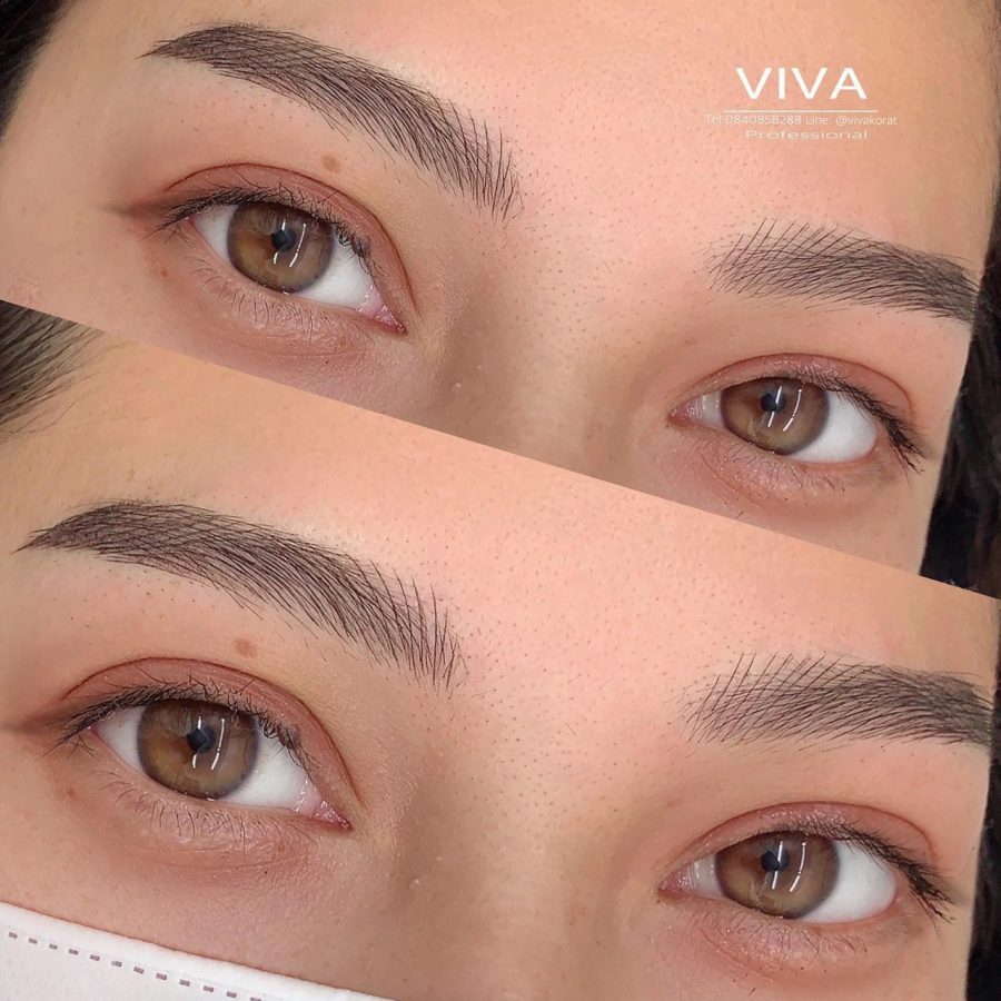 Viva Eyebrow